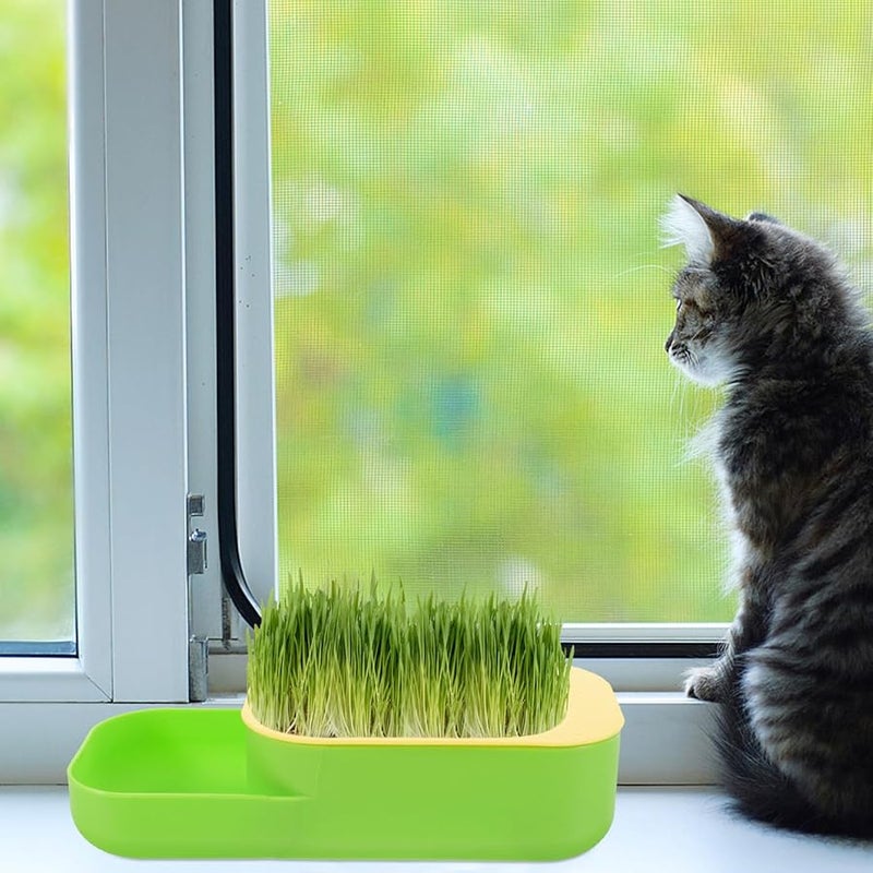 Hydroponic Cat Grass Planter Box Indoor Soilless Catnip Kit Green - Image 4